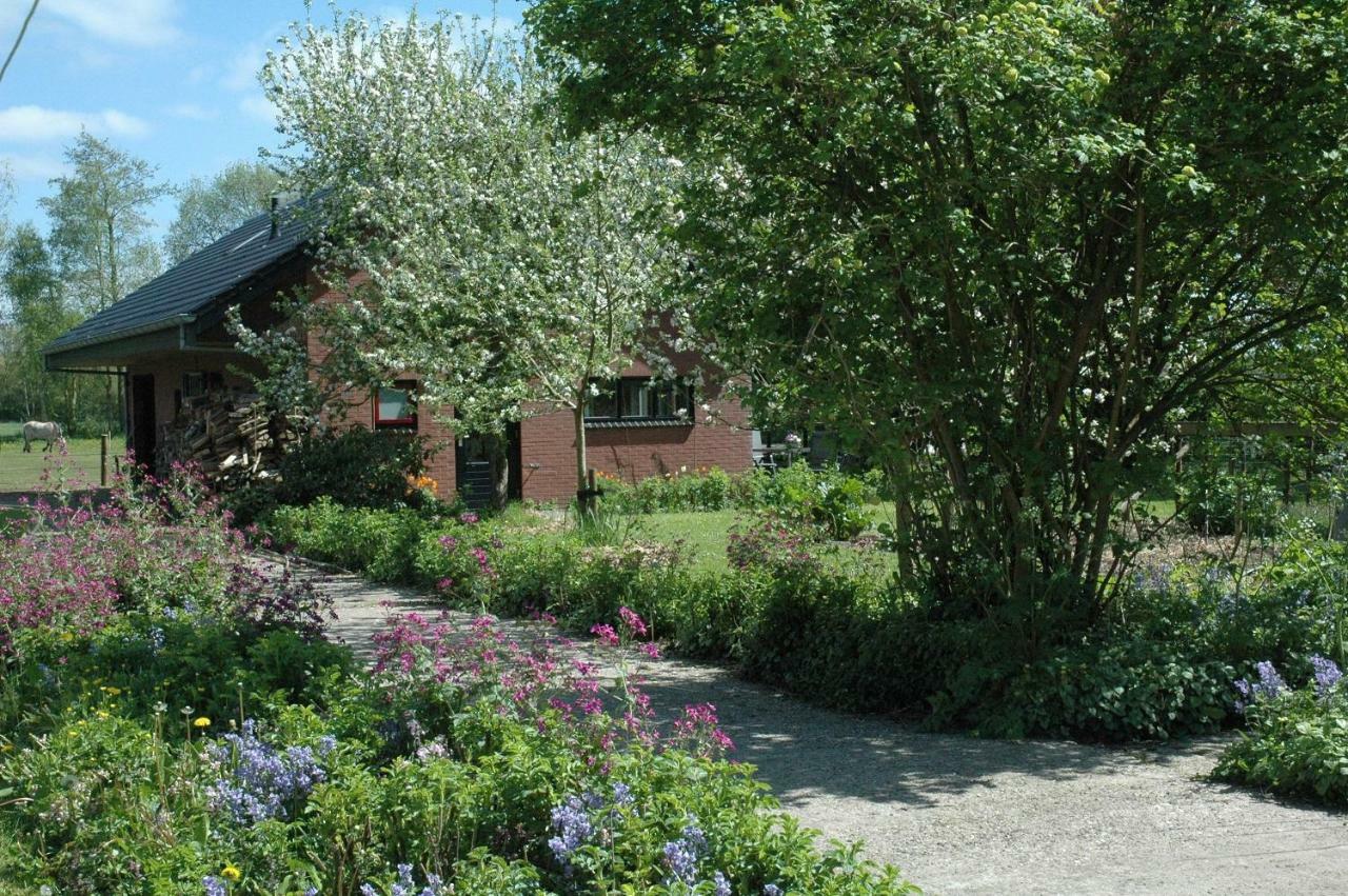 Gastenverblijf Op Het Graveland Zevenhuizen  Exteriör bild